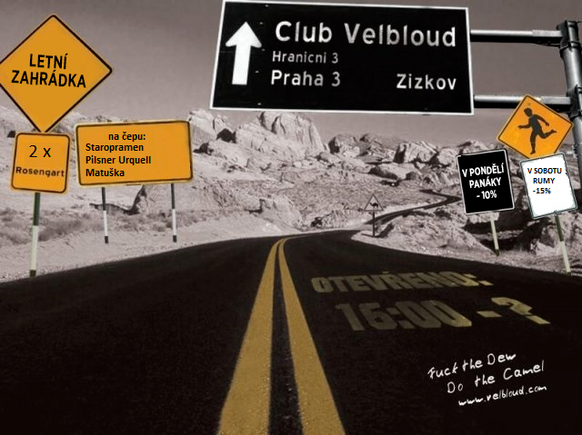 Velbloud